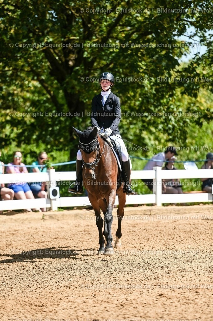 20230715_02_Dressurreiterprüfung Kl.L_0090 | equistock