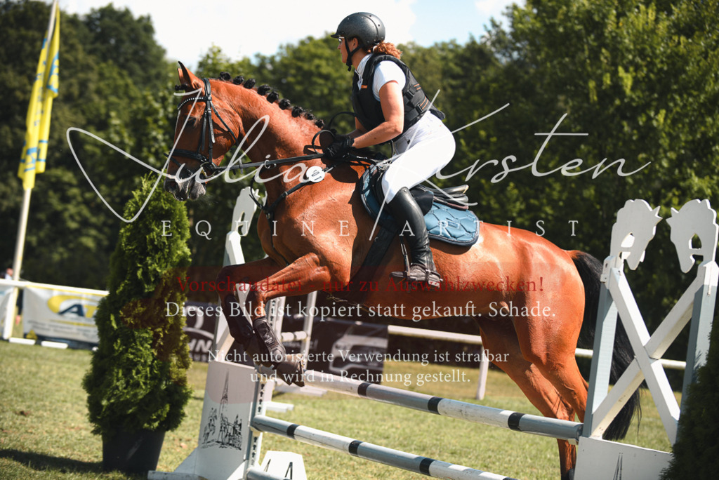 DSC_6597 | Pferde- und Turnierfotografie in Westsachsen. Pferdeportraits, Auftragszeichnungen und intuitive Kunst.