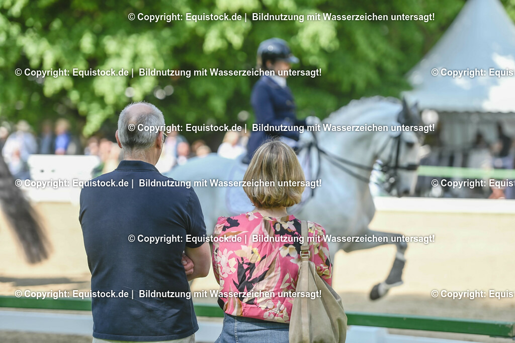 D78_2866 | equistock