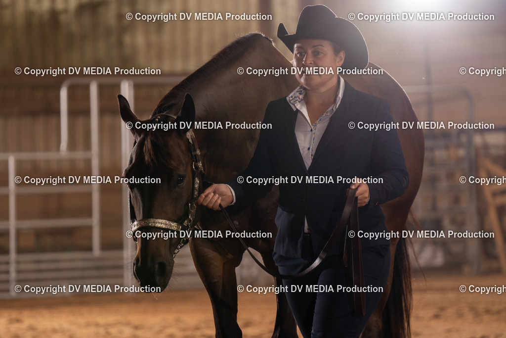 NID00080 | dv-media-shop - Realisiert mit Pictrs.com