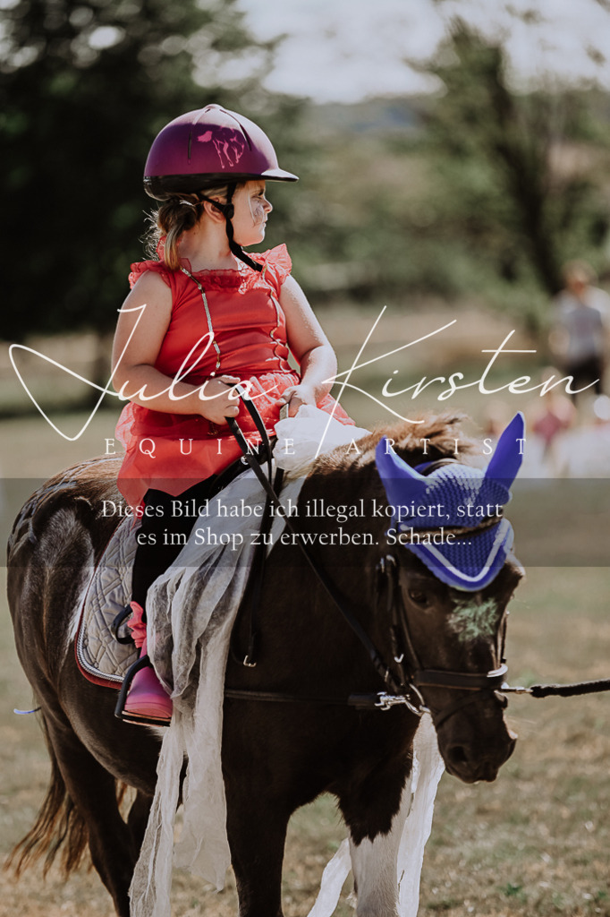 DSC_9147 | Pferde- und Turnierfotografie in Westsachsen. Pferdeportraits, Auftragszeichnungen und intuitive Kunst.
