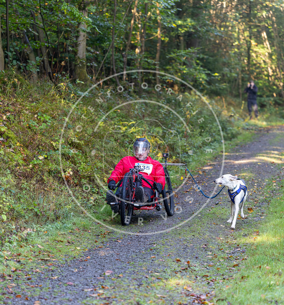 Pfotenfotografie_DV3A7927 | Hundefotografie, Tierfotograf, Pfotenfotografie, Fotoshooting Hund, Hunde Portrait, Hundesport, Hundeportraits, Heideshooting, Hunde, Sportfotograf, Hundefotograf, Turnierhundsport, THS,  - Realisiert mit Pictrs.com