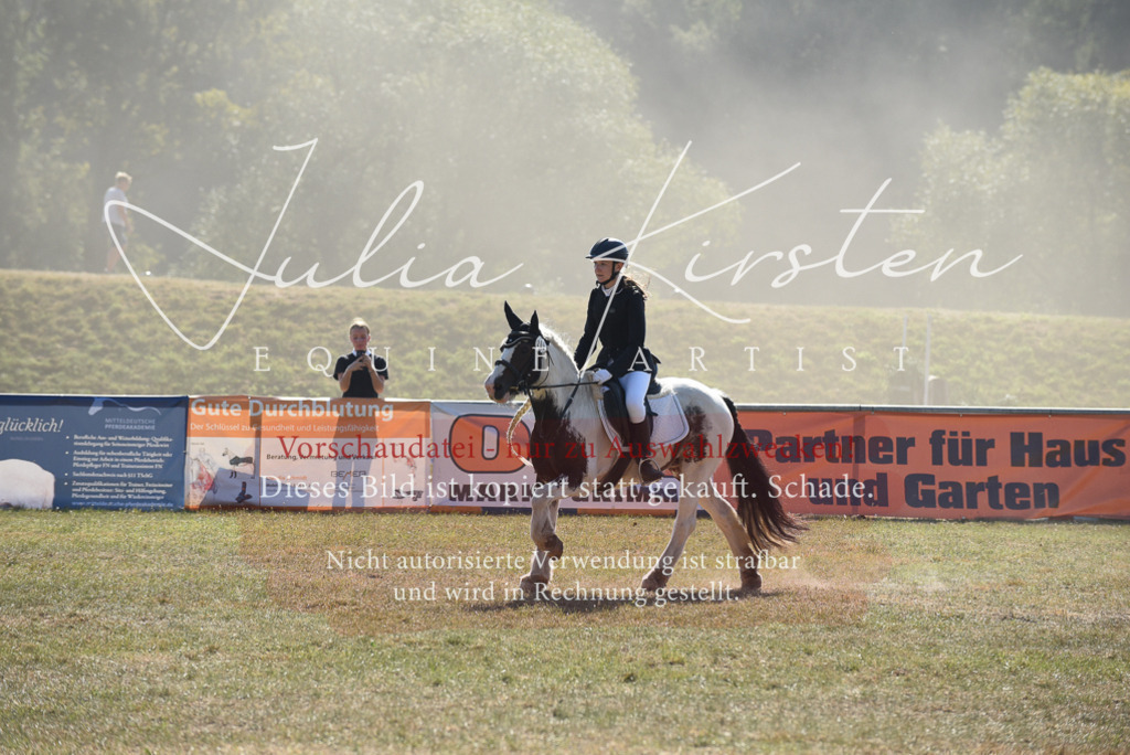 DSC_6097 | Pferde- und Turnierfotografie in Westsachsen. Pferdeportraits, Auftragszeichnungen und intuitive Kunst.