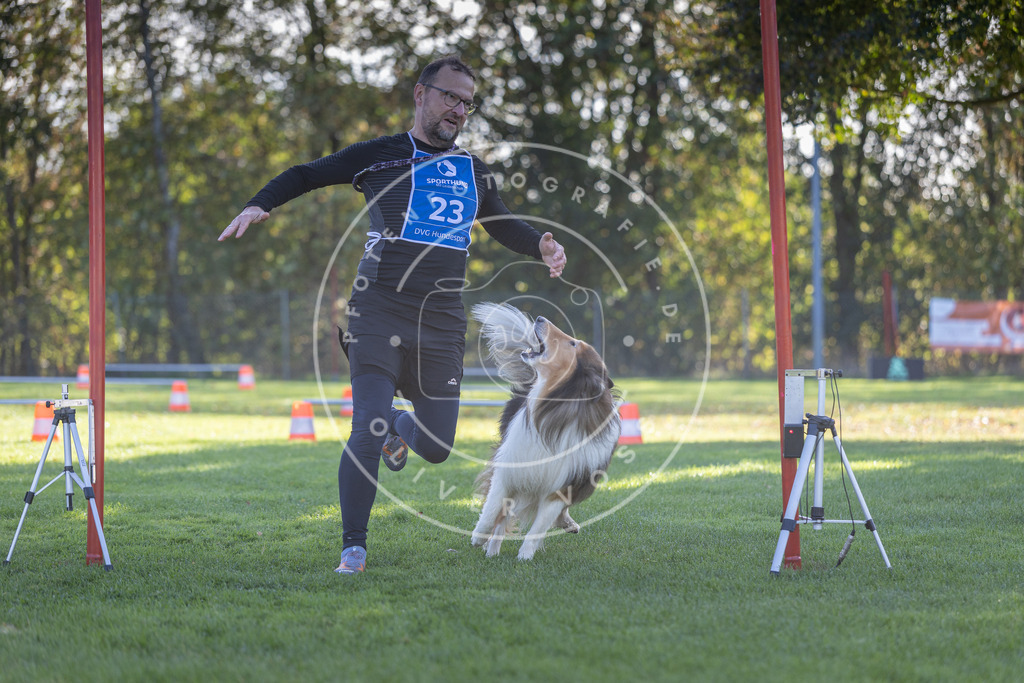Pfotenfotografie.de_DV3A3038 | Hundefotografie, Tierfotograf, Pfotenfotografie, Fotoshooting Hund, Hunde Portrait, Hundesport, Hundeportraits, Heideshooting, Hunde, Sportfotograf, Hundefotograf, Turnierhundsport, THS, canicross - Realisiert mit Pictrs.com
