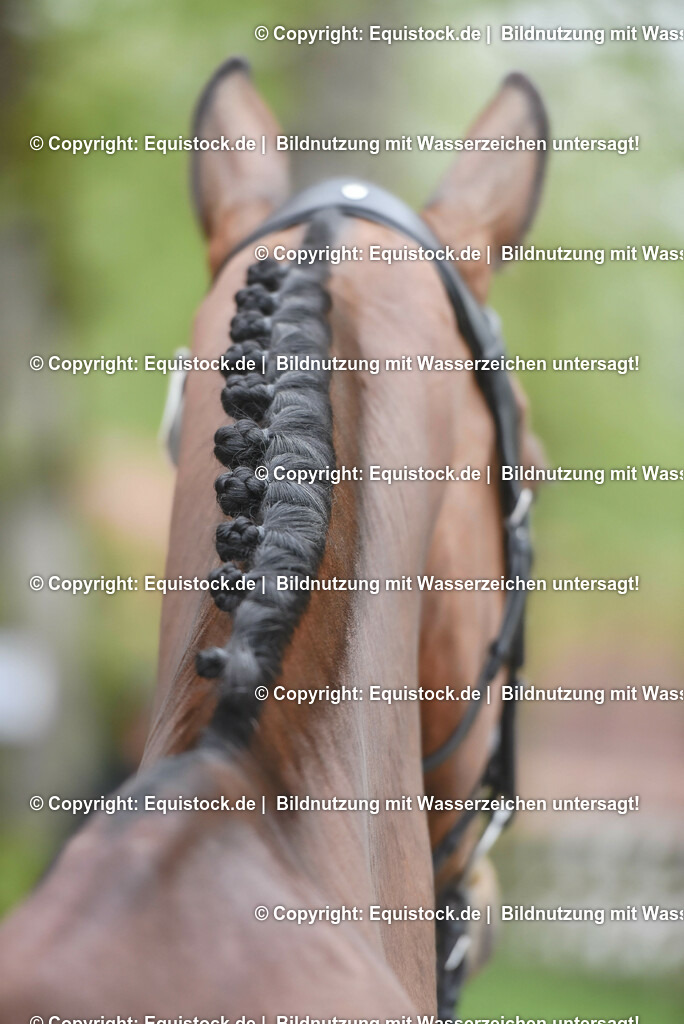 20230514_Impressionen_0172 | equistock