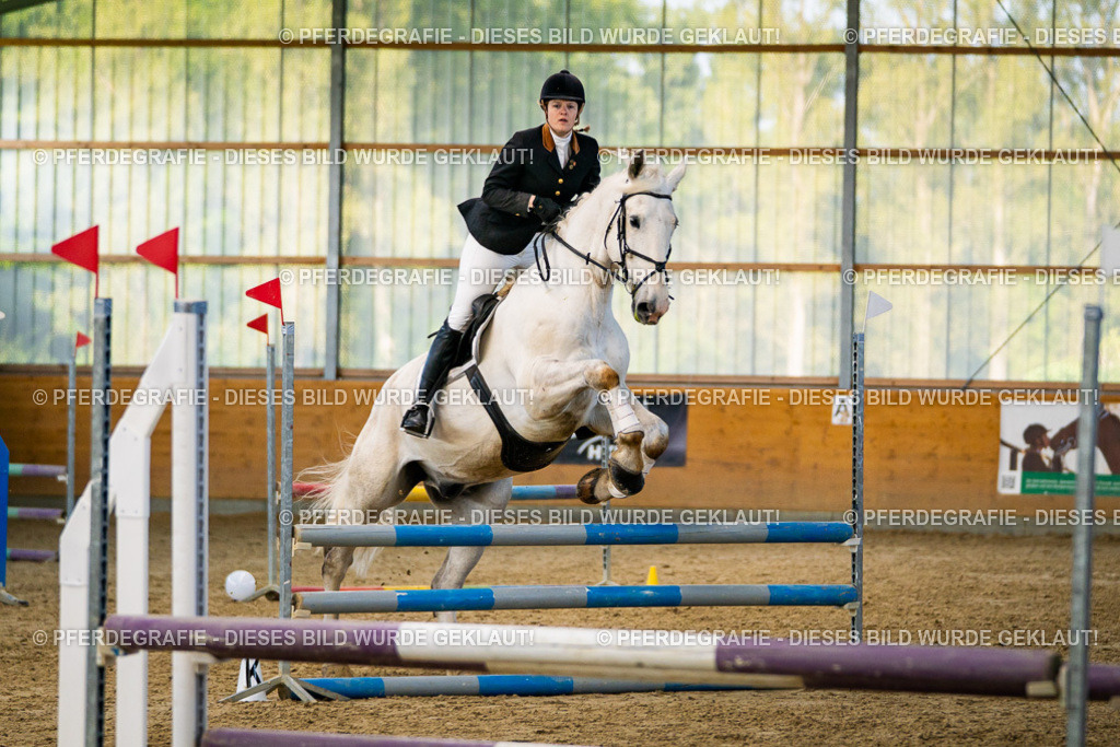 DSC00737 | Pferdegrafie