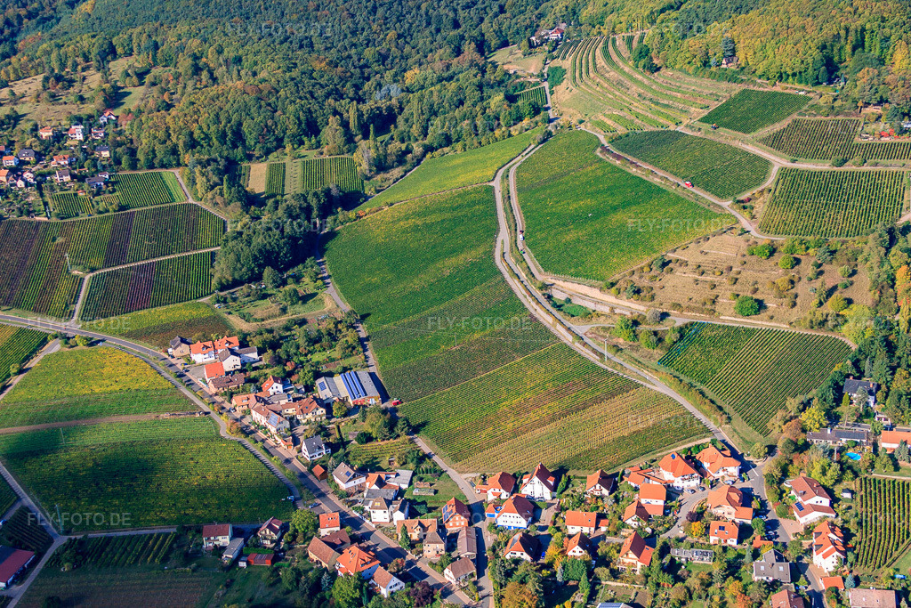 Luftbild: St.-Anna-Straße in Burrweiler im Bundesland Rheinland-Pfalz in Deutschland. Foto: IMG_22246.jpg vom 15.10.2009 durch Werner Riehm/FLY-FOTO.de