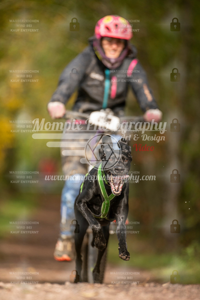 TSB_2023_E4_Bike-62 | PayLife