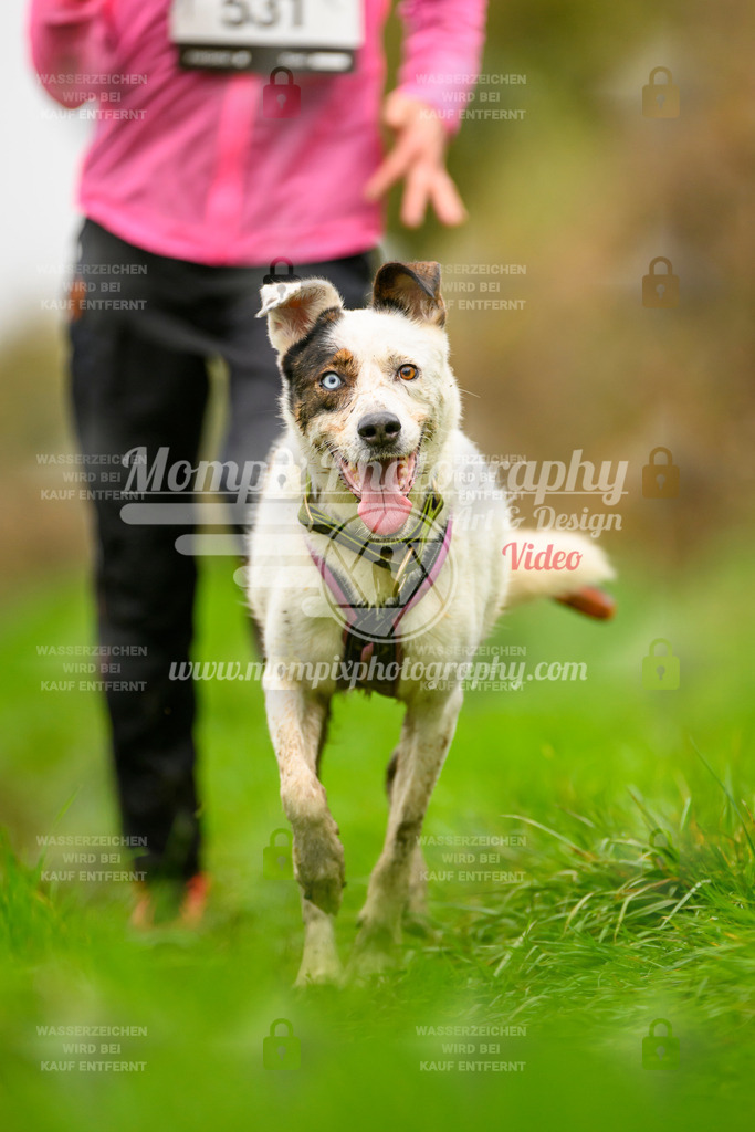 MompixPhotography_20TSB_E8_Run-178 | PayLife