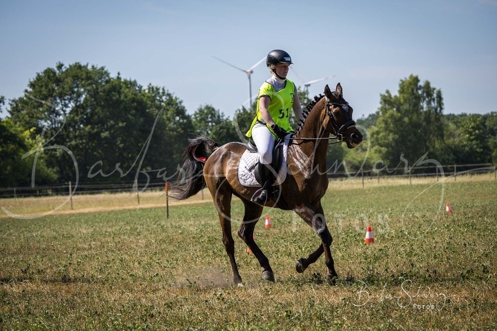 CJP_2026-06-26_158 | Stimmungsvolle Fotografie von Pferden, fotografische Begleitung von Veranstaltungen, Golfturnieren und Distanzritten - Realisiert mit Pictrs.com