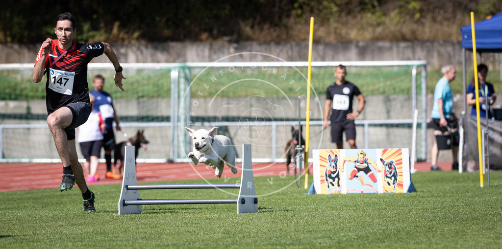 Pfotenfotografie_DV3A9264 | Hundefotografie, Tierfotograf, Pfotenfotografie, Fotoshooting Hund, Hunde Portrait, Hundesport, Hundeportraits, Heideshooting, Hunde, Sportfotograf, Hundefotograf, Turnierhundsport, THS,  - Realisiert mit Pictrs.com