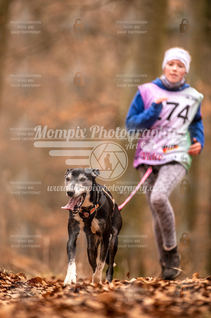 AKM_ST_2023_Son_Run-101 | PayLife