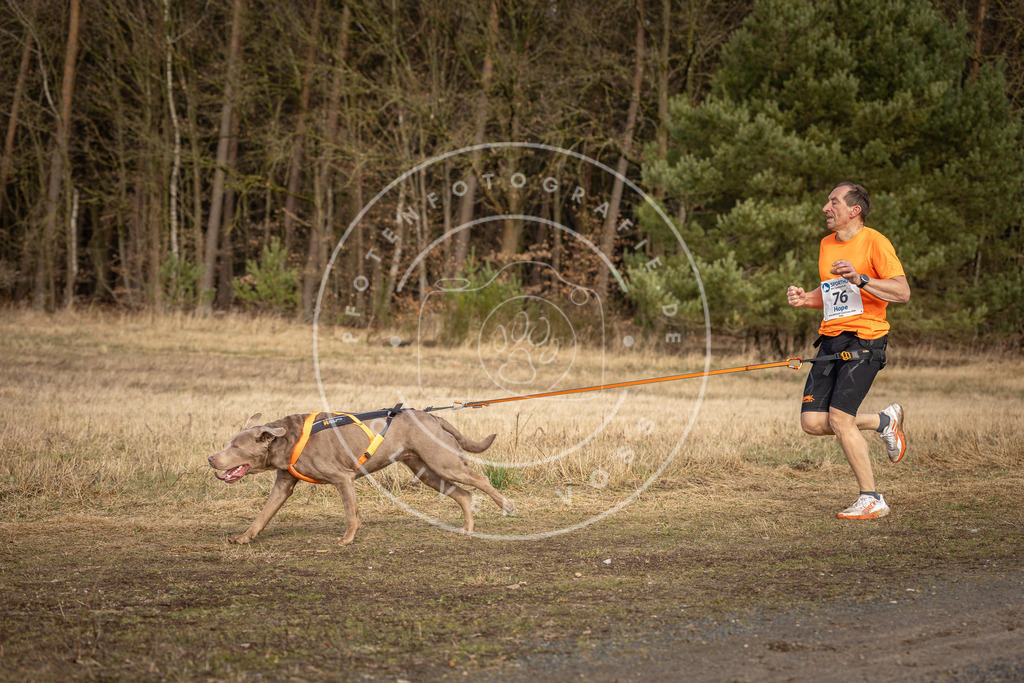 DV3A3796 | Hundefotografie, Tierfotograf, Pfotenfotografie, Fotoshooting Hund, Hunde Portrait, Hundesport, Hundeportraits, Heideshooting, Hunde, Sportfotograf, Hundefotograf, Turnierhundsport, THS,  - Realisiert mit Pictrs.com