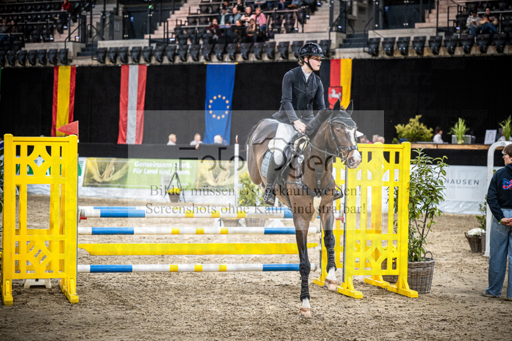 DOS_1152 | Entdecke hochwertige Reitturnierfotos von Foto Oger. Professionell, emotional und authentisch – jetzt Lieblingsmomente im Shop bestellen.Deutschlandweite Turnierfotografie. - Realisiert mit Pictrs.com