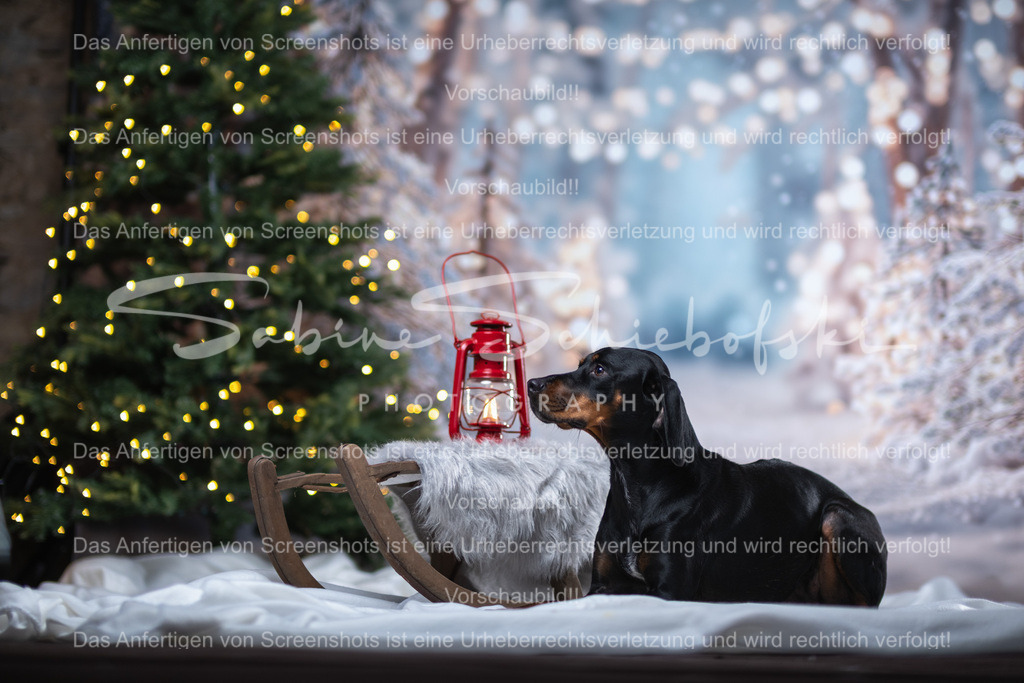 DSCF4337 | People- und Tierfotografie, Imageaufnahmen, Veranstaltungsfotografie und Wandbilder aus der Natur ★ Made in Germany ✔️ Druck + Downloads ✔️ Naturfotografie in Top Qualität ★ schneller Versand, weltweite Lieferung! - Realisiert mit Pictrs.com