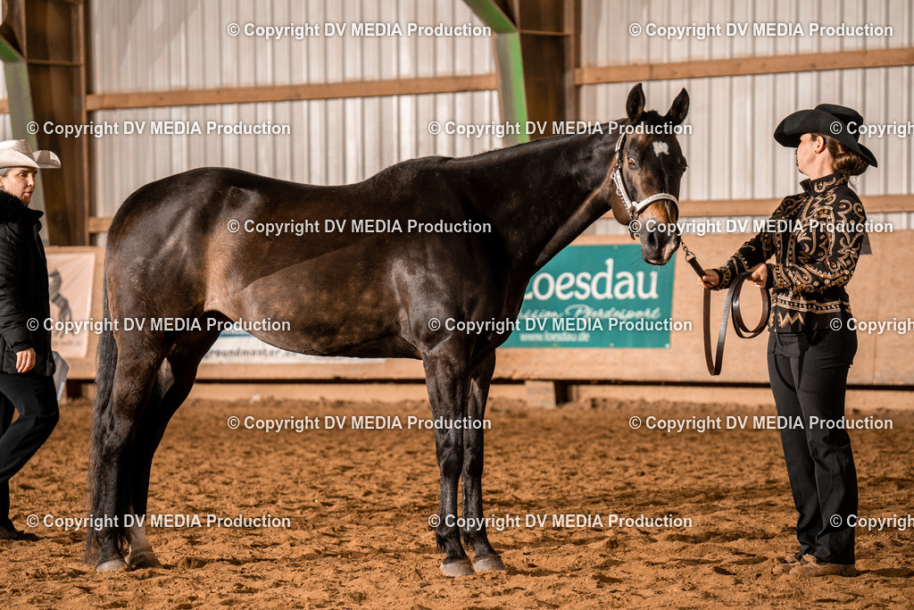 BAL01382 | dv-media-shop - Realisiert mit Pictrs.com