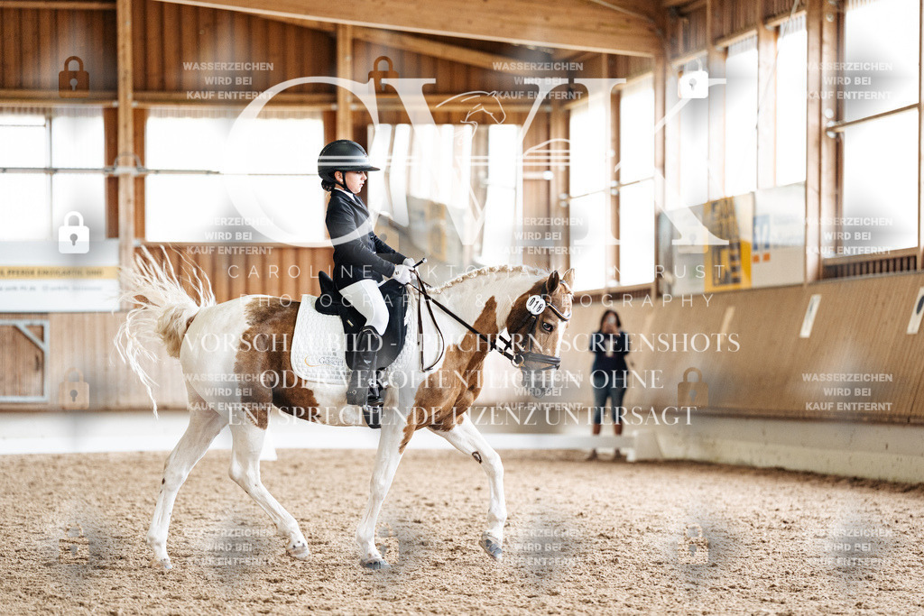 CK900521 | Turnierfotografie Pferdefotografie Trier Rheinland-Pfalz Pferdesport Reitsport Tierfotografie Sportfotografie Pferdevideo Pferdevideografie Equestrianvideography equestrianphotography  - Realisiert mit Pictrs.com