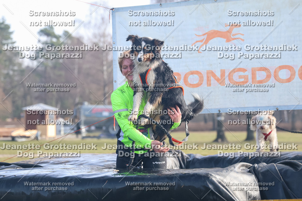 Dog Paparazzi - Strongdog North Mrz26-482 | Dog Paparazzi Jeanette Grottendiek Fotografie & Videografie - Realisiert mit Pictrs.com