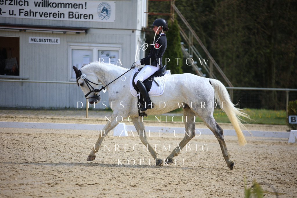 IMGT4886 | pl-fotografie