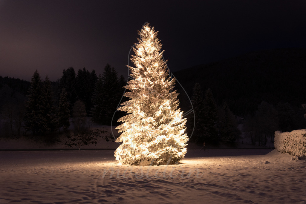 Winterwonderland Christbaum Thomatal | Ihre Fotografin im Lungau, ihre Fotografin im Mostviertel, Wandbilder Onlineshop, Imagefotos für Ihr Unternehmen,  - Realisiert mit Pictrs.com