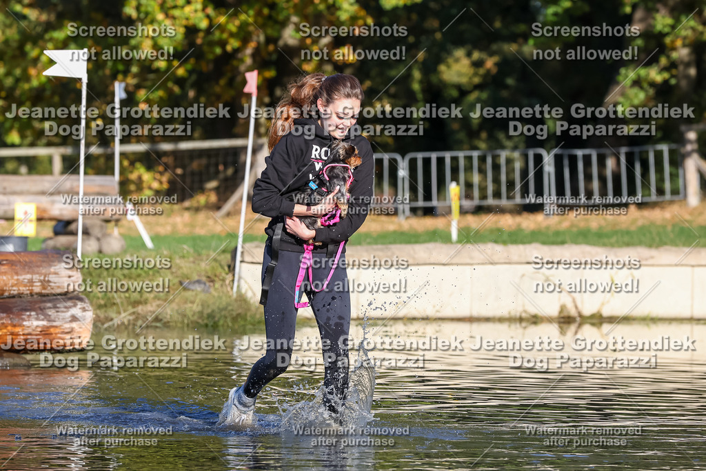 Dog Paparazzi - Strongdog 10-25-8774 | Dog Paparazzi Jeanette Grottendiek Fotografie & Videografie - Realisiert mit Pictrs.com