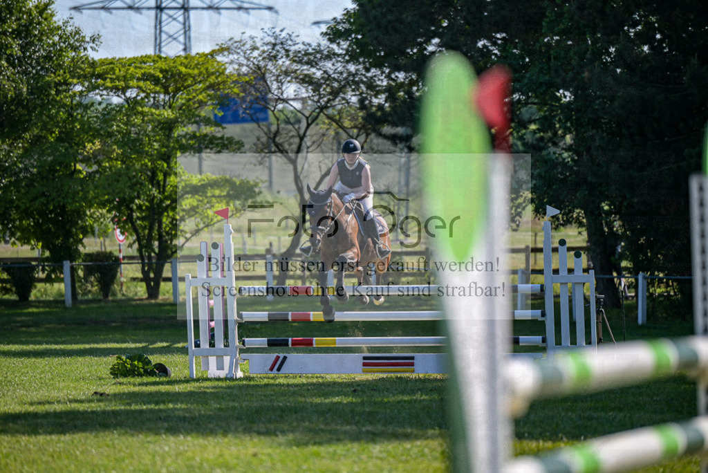Reitturnier Voxtrup | Entdecke hochwertige Reitturnierfotos von Foto Oger. Professionell, emotional und authentisch – jetzt Lieblingsmomente im Shop bestellen.Deutschlandweite Turnierfotografie. - Realisiert mit Pictrs.com