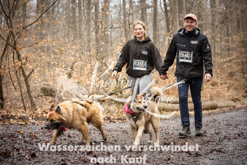 1207_ZZ94116 | kk-dogfotos