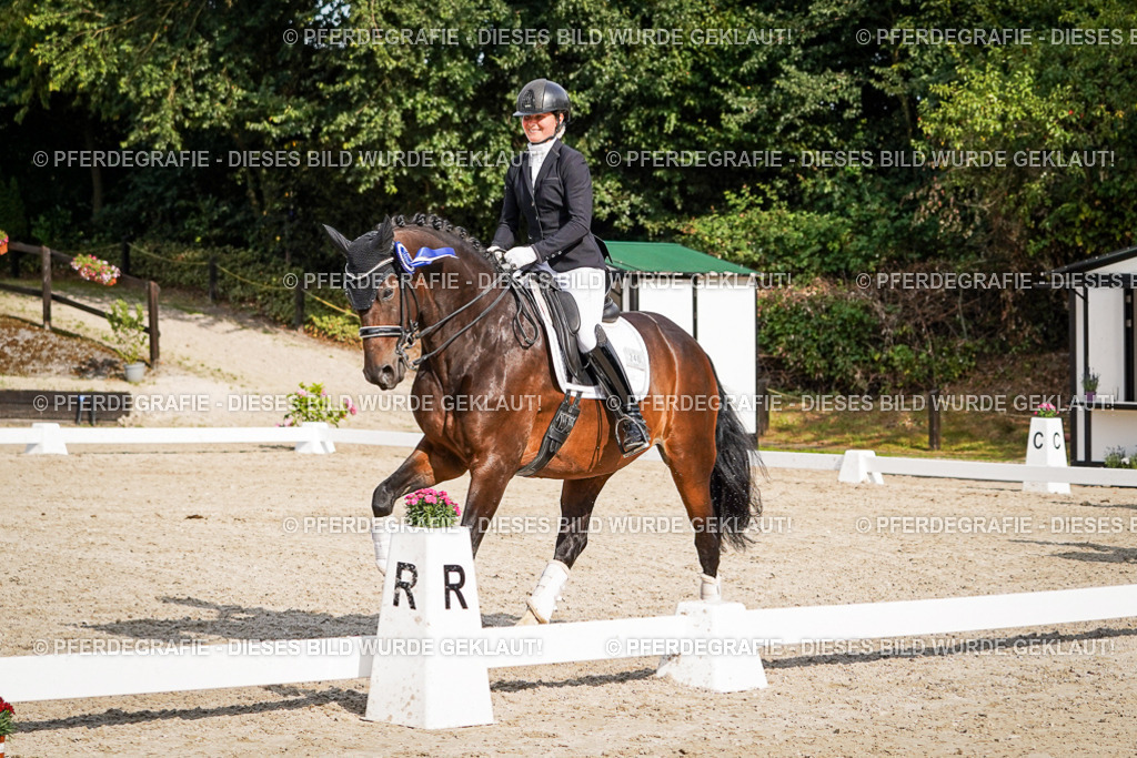 DSC07672 | Pferdegrafie