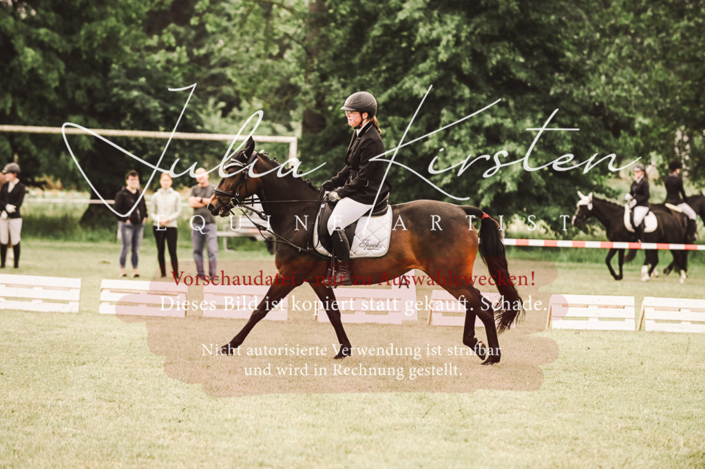 DSC_4912 | Pferde- und Turnierfotografie in Westsachsen. Pferdeportraits, Auftragszeichnungen und intuitive Kunst.