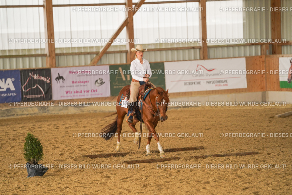 DSC02470 | Pferdegrafie