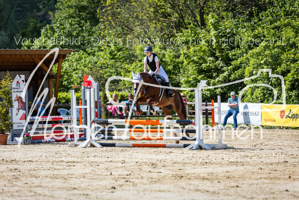 Donop24-ESpr-050 | MomenTaufnahmen Pferdesportfotos