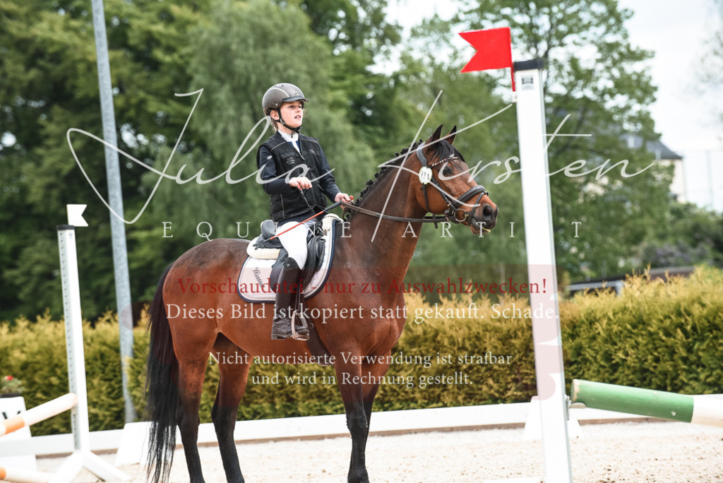 20230518_JK-Röhrsdorf-10-687 | Pferde- und Turnierfotografie in Westsachsen. Pferdeportraits, Auftragszeichnungen und intuitive Kunst.