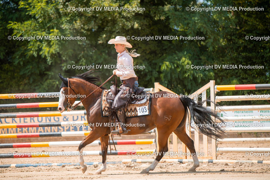 ZS2_8280 | dv-media-shop - Realisiert mit Pictrs.com