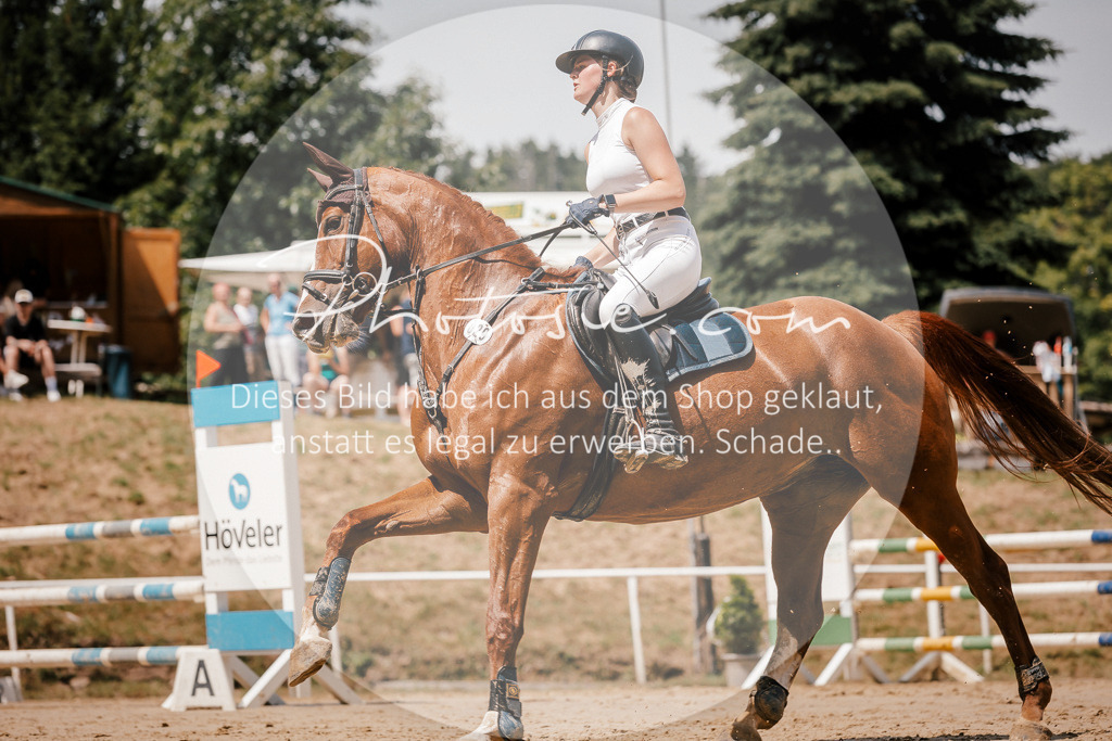 3I6A8071 | Stimmungsvolle Portraits und Reitsportfotografie im Ruhrgebiet und im Münsterland.

Pferdefotografie, Hundefotografie, Tierfotografie, Reportagen, Portraits von Tier und Mensch, Turnierfotografie in Bochum, Recklinghausen, Marl, Haltern am See, Dülmen.. - Realisiert mit Pictrs.com