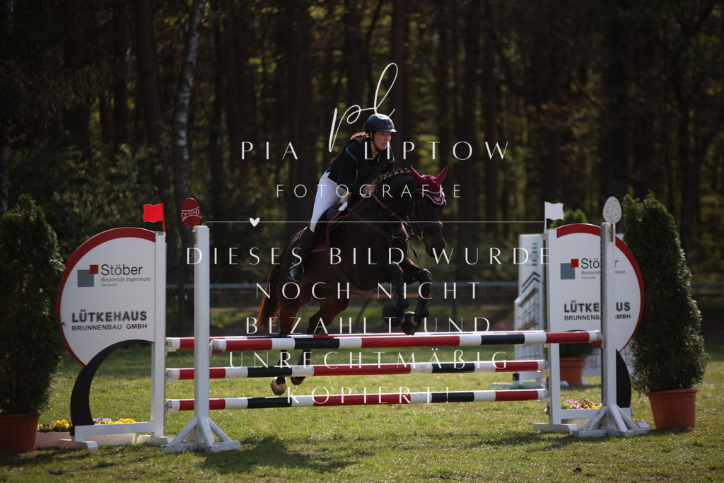 IMGT9162 | pl-fotografie