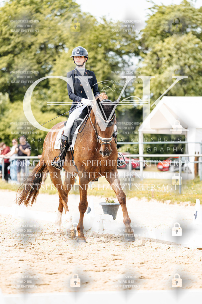 CK902167 | Turnierfotografie Pferdefotografie Trier Rheinland-Pfalz Pferdesport Reitsport Tierfotografie Sportfotografie Pferdevideo Pferdevideografie Equestrianvideography equestrianphotography  - Realisiert mit Pictrs.com