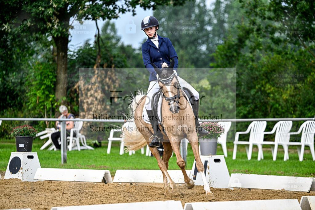 Reitturnier Hasbergen | Entdecke hochwertige Reitturnierfotos von Foto Oger. Professionell, emotional und authentisch – jetzt Lieblingsmomente im Shop bestellen. - Realisiert mit Pictrs.com