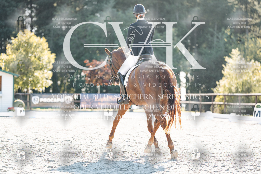 CK906949 | Turnierfotografie Pferdefotografie Trier Rheinland-Pfalz Pferdesport Reitsport Tierfotografie Sportfotografie Pferdevideo Pferdevideografie Equestrianvideography equestrianphotography  - Realisiert mit Pictrs.com