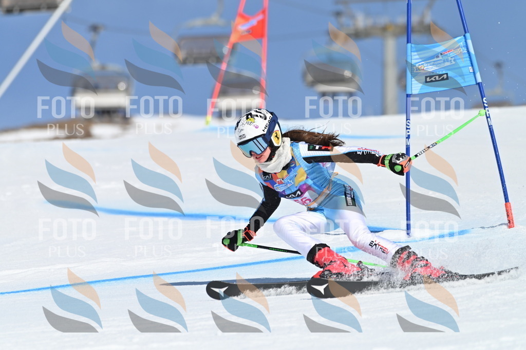 BGV_8651 | holidayphoto