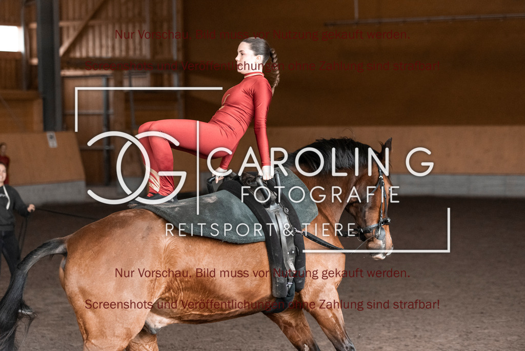 DSC_2006 | Turnierfotografin Carolin Gieschke,Reitsport Turnierfotografie Carolin G Fotografie | Turnierfotos aus Kirchheim/Teck, Esslingen, Stuttgart und dem Bodenseekreis