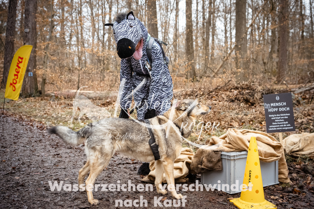 1204_ZZ93883 | kk-dogfotos