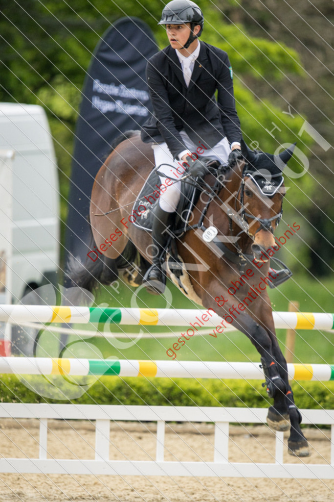 IMG_4457 | Hier findest Du viele Augenblicke aus den Bereichen der Turnier-, Sport- & Tierfotografie. Bilder mit deinem Liebling, Portrait-, Bewerbungs-, Businessbilder können ebenfalls schnell und einfach erstellt werden.