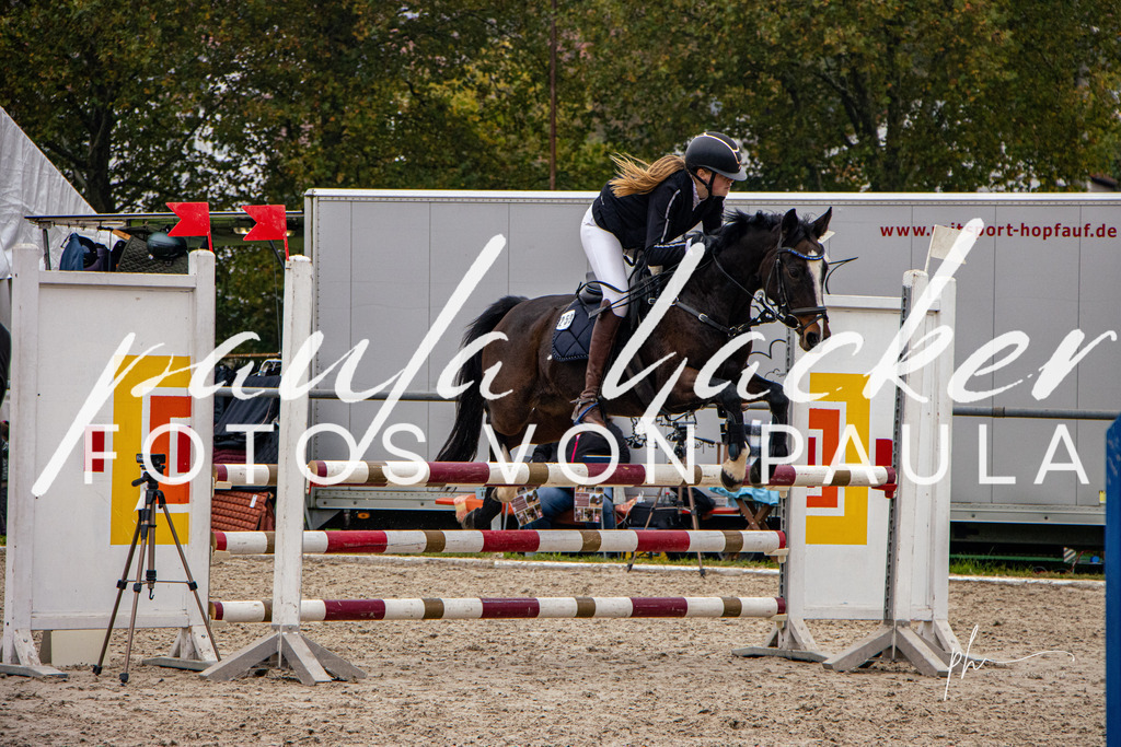 IMG_3414 | Erleben Sie dynamische Sport- und emotionale Tierfotografie in Süddeutschland mit Fotos von Paula. Spezialisiert auf Pferde- und Hundefotografie sowie Sportevents. Kontaktieren Sie mich für einzigartige und ausdrucksstarke Bilder Ihrer besonderen Momente. - Realisiert mit Pictrs.com