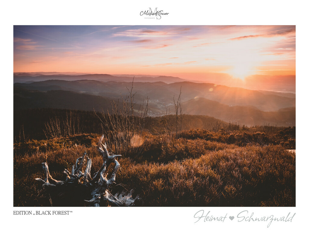 Edition "BLACK FOREST" | Motiv: Sonnenuntergang auf der Hornisgrinde, Nordschwarzwald. Die beliebtesten Fotografien aus dem Schwarzwald als signierte Sonderedition. Eine exklusive Wanddekoration für alle Liebhaber von traumhaften Schwarzwaldlandschaften. Hochwertige Wandbilder in brillanter Druckqualität auf Acrylglas, Alu-Dibond und Leinwand für Ihr Zuhause – inklusive rückseitige Aufhängung.
 - Realisiert mit Pictrs.com