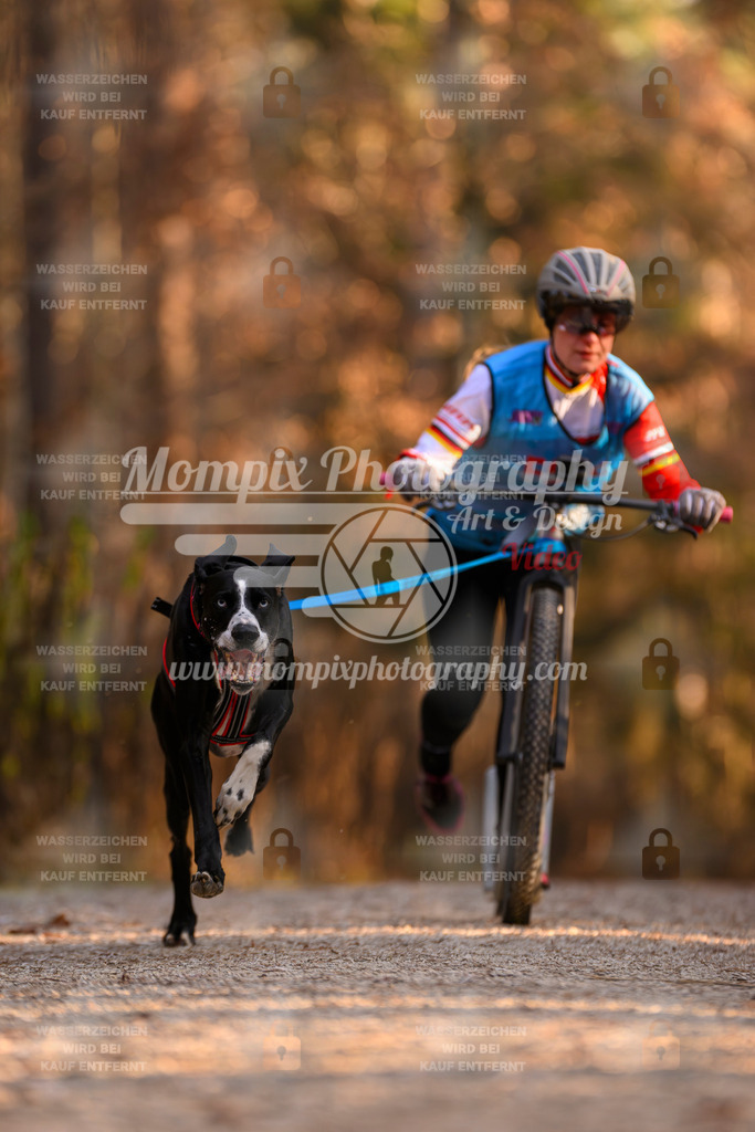 MompixPhotography_DM_AKDM_SO_2025_Scooter-110 | PayLife