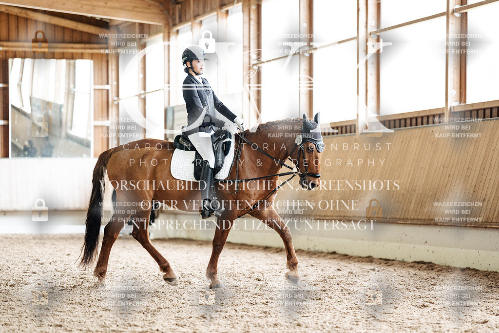 CK900633 | Turnierfotografie Pferdefotografie Trier Rheinland-Pfalz Pferdesport Reitsport Tierfotografie Sportfotografie Pferdevideo Pferdevideografie Equestrianvideography equestrianphotography  - Realisiert mit Pictrs.com