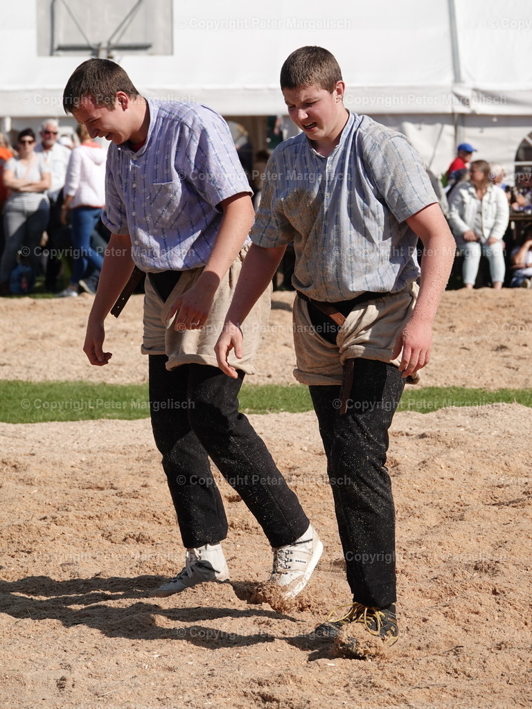 DSC05604 | Schwingen - Realisiert mit Pictrs.com