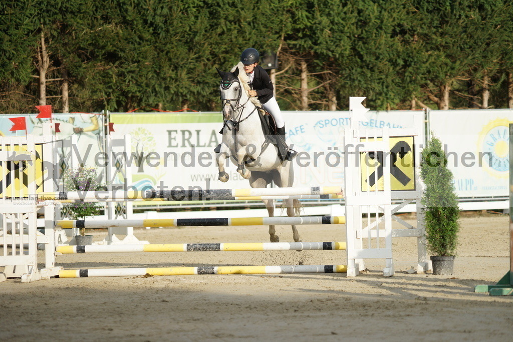 DSC01564 | equestrian-live-com