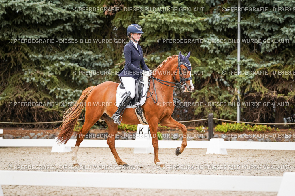 DSC07034 | Pferdegrafie