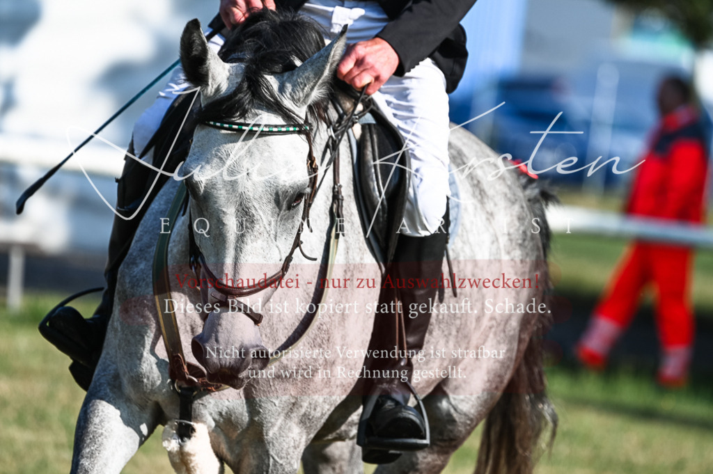 DSC_7483 | Pferde- und Turnierfotografie in Westsachsen. Pferdeportraits, Auftragszeichnungen und intuitive Kunst.